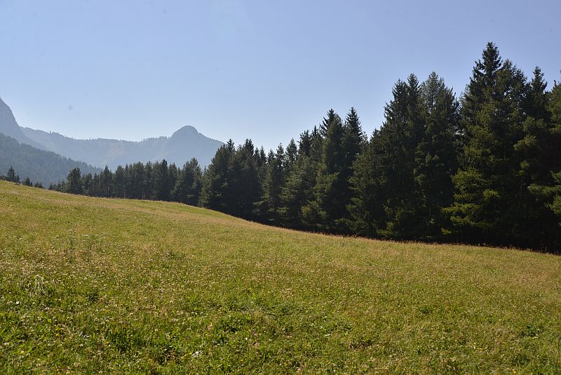 amelie_rennt-seis_am_schlern-tuffalm-01237
