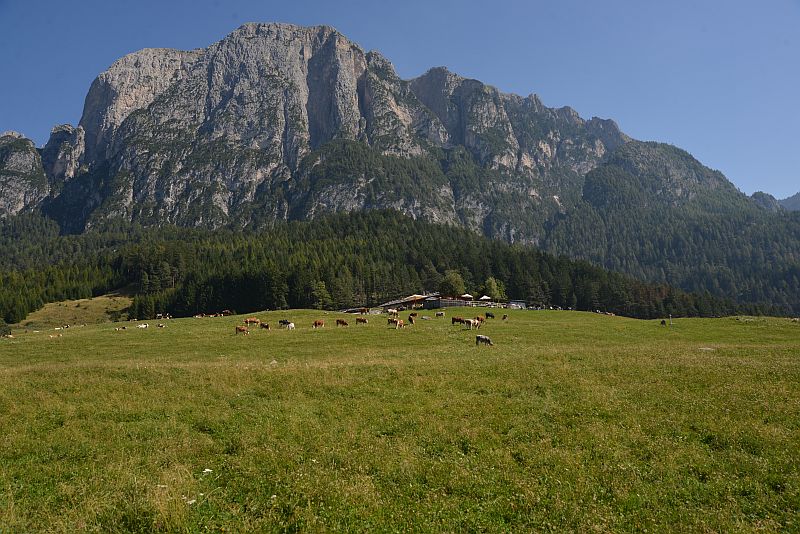 amelie_rennt-seis_am_schlern-tuffalm-01242