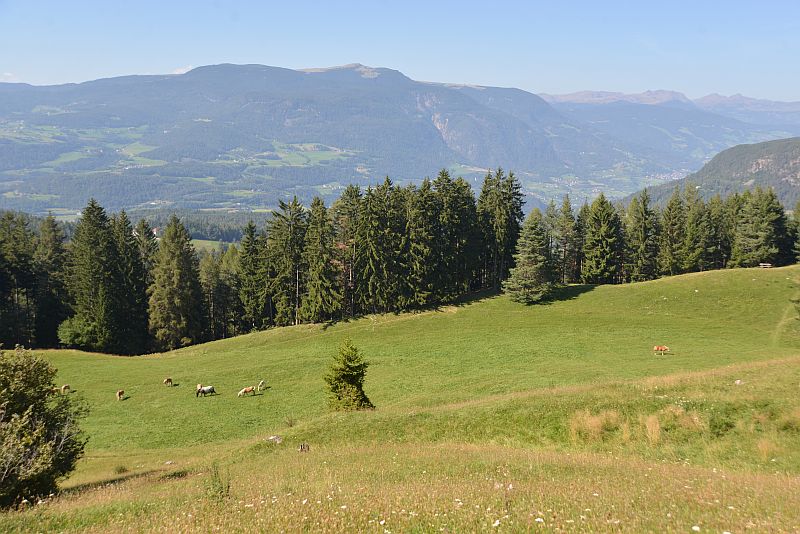amelie_rennt-seis_am_schlern-tuffalm-03010