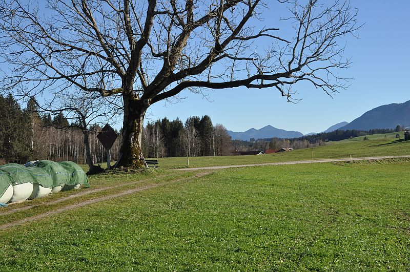 marie-fngt-feuer-bad_bayersoien-05-10348