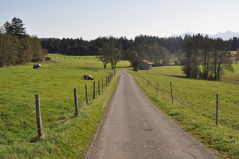 marie-fngt-feuer-schnberg-20 - 02944